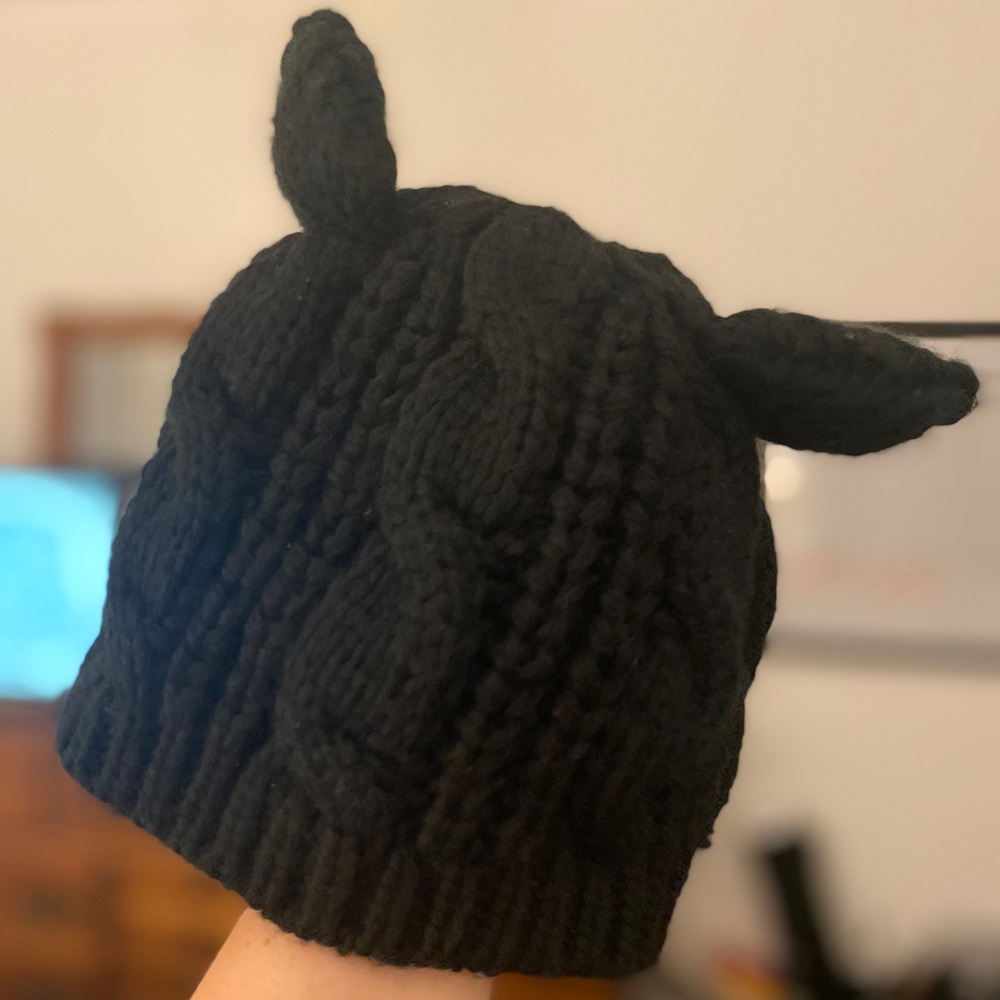 Black cat beanie